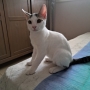 Other - Фото: 2